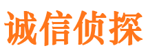 武山市侦探公司